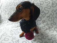 Knitted PomPom Scarf for Dachshund or Small Dog, Knitted Warm Wool Pet Scarf, Dog Scarf Clothes, Christmas dog Gift, Winter Dog Accessories