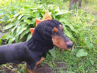Dinosaur hat for dog, dinosaur dachshund knitted hat, dino dog clothes