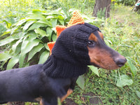 Dinosaur hat for dog, dinosaur dachshund knitted hat, dino dog clothes