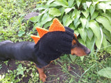 Dinosaur hat for dog, dinosaur dachshund knitted hat, dino dog clothes