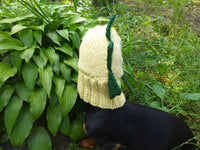 Dinosaur hat for dog, dinosaur dachshund knitted hat, dino dog clothes