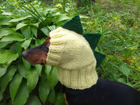 Dinosaur hat for dog, dinosaur dachshund knitted hat, dino dog clothes