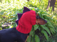 Dino dachshund, dino hat for dachshund or small dog, dinosaur clothes for dogs dachshundknit