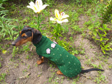 Sweater cactus for a dog, dachshund cactus knitted clothes for dogs dachshundknit