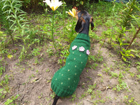 Sweater cactus for a dog, dachshund cactus knitted clothes for dogs dachshundknit