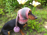 Winter Knitted Dog Clothes Hat with Pom Pom, christmas santa hat for dog, santa hat for dachshund