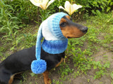 Winter Knitted Dog Clothes Hat with Pom Pom, christmas santa hat for dog, santa hat for dachshund