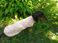 Pink Floral Mini Dachshund Jumper, Dog Coat, Clothes Dog Sweater