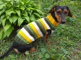 Green and yellow striped dog jumper dachshundknit