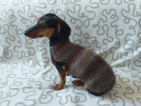 Size L Warm coat for dachshund puppy or small dog, knitted jumper for puppy dachshund, dachshund puppy clothes, wool sweater for small dog