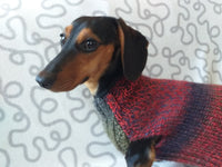 Size L Warm coat for dachshund puppy or small dog, knitted jumper for puppy dachshund, dachshund puppy clothes, wool sweater for small dog