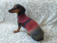 Size L Warm coat for dachshund puppy or small dog, knitted jumper for puppy dachshund, dachshund puppy clothes, wool sweater for small dog