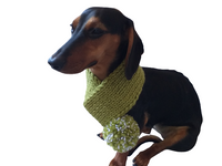 Handmade knitted scarf for dog