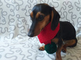 Knitted christmas winter dog scarf with pompom