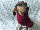 Handmade knitted scarf for dog dachshundknit