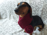 Handmade knitted scarf for dog dachshundknit