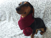 Handmade knitted scarf for dog dachshundknit