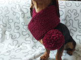 Handmade knitted scarf for dog dachshundknit