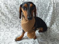 Knitted winter scarf for dog with pompom