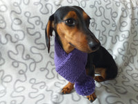Knitted winter scarf for dog with pompom