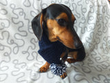 Knitted winter scarf for dog with pompom