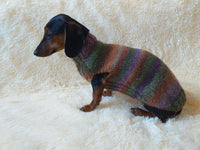 Warm coat for wiener dog, Miniature Dachshund Knitted Jumper, Dachshund clothes knitted sweater, wool sweater for dachshund or small dog dachshundknit