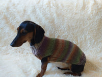 Size L Warm coat for dachshund puppy or small dog, knitted jumper for puppy dachshund, dachshund puppy clothes, wool sweater for small dog
