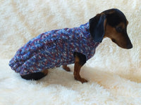 Wool aran sweater for mini dachshund or small dog, dachshund puppy sweater, terrier sweater, small dog sweater