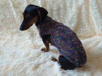 Knitted sweater for dogs, clothes for dachshunds, sweater for dogs, clothes for dogs, sweater for small dogs, dachshund sweater