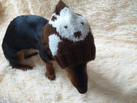 Winter knitted hat bear for dachshund or small dog