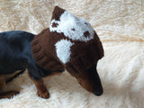 Winter knitted hat bear for dachshund or small dog