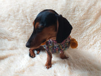 Wool dog jumper with pom poms