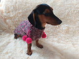 Wool aran sweater for mini dachshund or small dog, dachshund puppy sweater, terrier sweater, small dog sweater