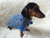 Wool aran sweater for mini dachshund or small dog, dachshund puppy sweater, terrier sweater, small dog sweater