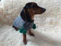 Wool aran sweater for mini dachshund or small dog, dachshund puppy sweater, terrier sweater, small dog sweater