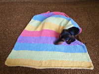 Knitted Rainbow Striped Pet Blanket, Colorful Blanket for Dog, Cat, Baby, Dachshund Blanket, Cozy pet blanket, knitted litter for dog or cat