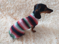 Rainbow sweater for a dachshund or small dog dachshundknit