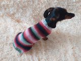 Rainbow sweater for a dachshund or small dog dachshundknit