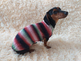 Rainbow sweater for a dachshund or small dog dachshundknit