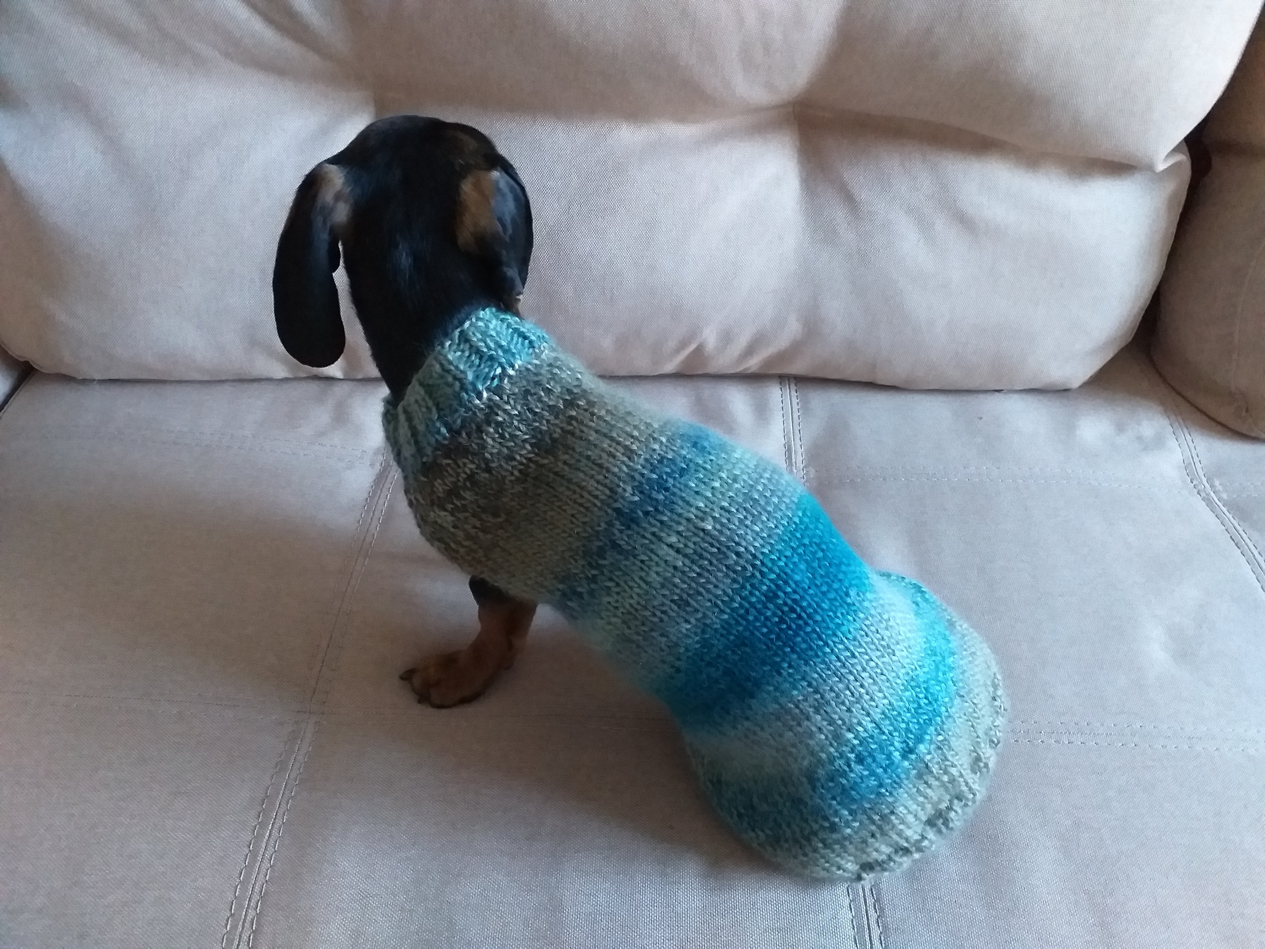 Dachshund knitted jumper hotsell