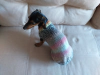 Size ХL Warm coat for dachshund puppy or small dog, knitted jumper for dachshund, dachshund puppy clothes, wool sweater for small dog dachshundknit
