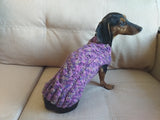 Knitted sweater for dogs, clothes for dachshunds, sweater for dogs, clothes for dogs, sweater for small dogs, dachshund sweater dachshundknit