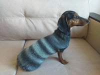 Warm coat for wiener dog, Miniature Dachshund Knitted Jumper, Dachshund clothes knitted sweater, wool sweater for dachshund or small dog dachshundknit