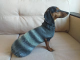 Warm coat for wiener dog, Miniature Dachshund Knitted Jumper, Dachshund clothes knitted sweater, wool sweater for dachshund or small dog dachshundknit