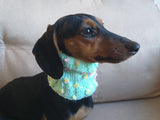 Wool scarf snood for dog, scarf snood for small dogs, snood for dachshund, scarf for dachshun dachshundknit