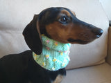 Wool scarf snood for dog, scarf snood for small dogs, snood for dachshund, scarf for dachshun dachshundknit
