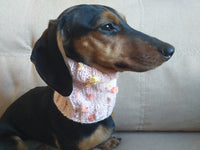 Butterfly flower dog snood scarf dog warm scarf winter clothes dog accessories fashion dog scarf puppy clothes dachshundknit