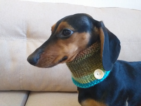 Scarf snood collar knitted for dog dachshundknit