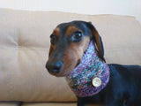 Scarf snood collar knitted for dog dachshundknit