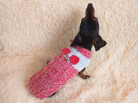 Size L Sweater for mini dachshund with bow,cloches for dachshund or small dog dachshundknit